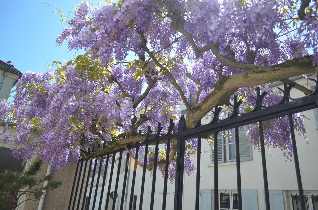 Wisteria Bed & Breakfast Fontainebleau Exterior photo